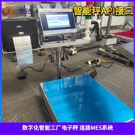 配料系統用智能電子秤