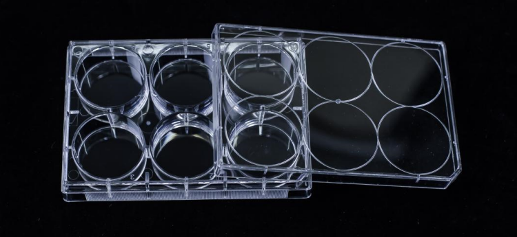 從表面處理到實(shí)驗(yàn)應(yīng)用：全面解析超低吸附培養(yǎng)板