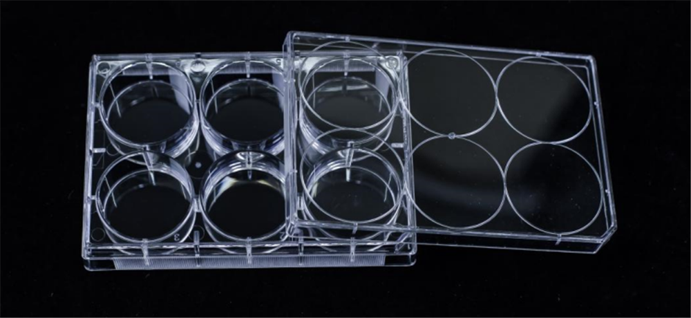 從表面處理到實驗應用：全面解析超低吸附培養板