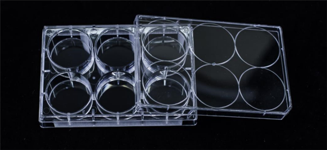 從表面處理到實(shí)驗(yàn)應(yīng)用：全面解析超低吸附培養(yǎng)板