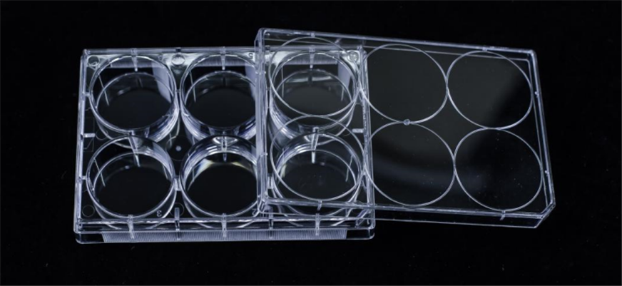 從表面處理到實驗應(yīng)用：全面解析超低吸附培養(yǎng)板