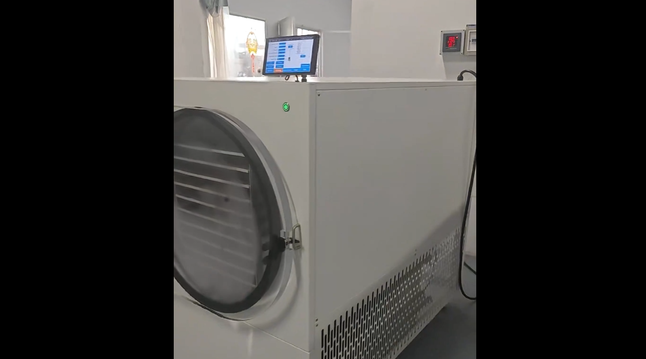 SJ-50H 商用食品凍干機｜整機360°展示視頻.
