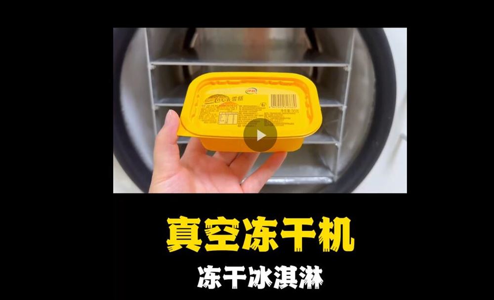 真空凍干機凍干冰淇淋