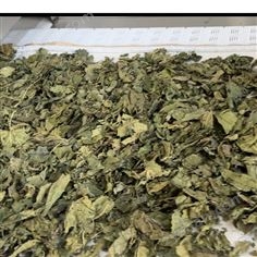 桑葉微波殺青烘干殺菌設(shè)備 殺菌殺蟲卵設(shè)備
