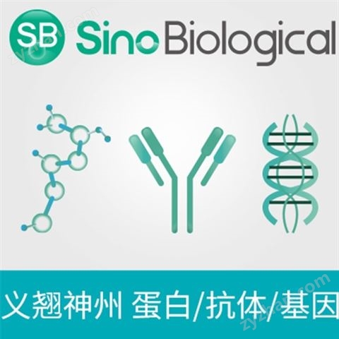 ProPure&trade;重組人 CDH6超低內(nèi)毒素蛋白