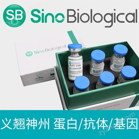 ProPure&trade;重組人 CDH6超低內(nèi)毒素蛋白