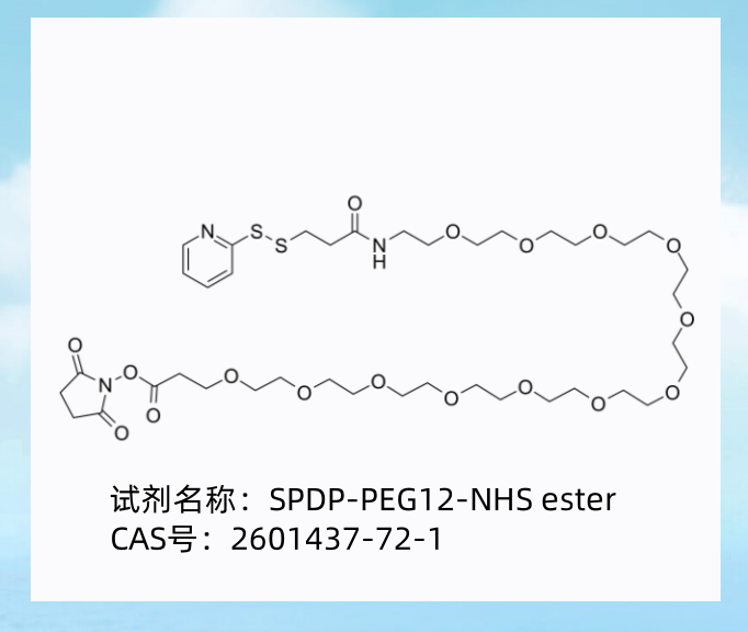 SPDP-PEG12-NHS ester應(yīng)用于蛋白質(zhì)修飾，也可用于合成PROTAC分子