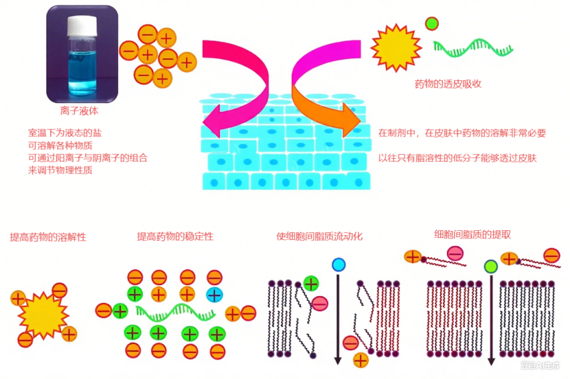 image.png 离子液体:经皮给药的“破局者