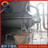 纖維素槳葉干燥機(jī)