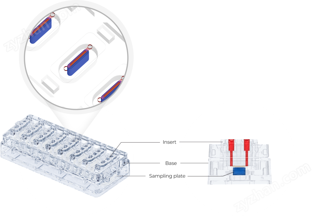 MEPS-TBC-WL 3D器官芯片